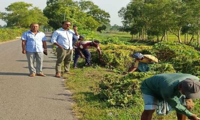 রাতের বেলা ডাকাতি প্রতিরোধে সড়কের উভয় পাশের ঝোপ জঙ্গল পরিষ্কার