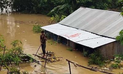 গোমতীর বাঁধ ভেঙে পানির নিচে বুড়িচং