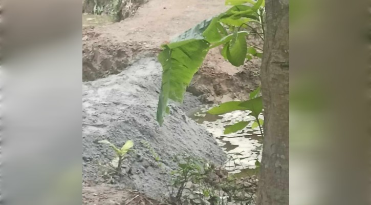 মতলবের ঘোড়াদারীতে জোর পূর্বক রাস্তা নির্মান আদালতে মামলা